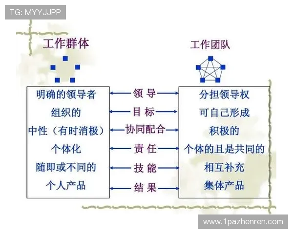 Hizi比赛：探索创新与团队合作的完美结合
